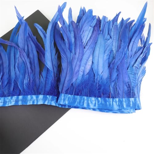 10 m Hahnschwanz-Federn, 25–30 cm, Coque-Federn, Besatz für Handwerk, Karneval, Kleid, Rock, Kostüme, Blau, 10 m von REHJJDFD