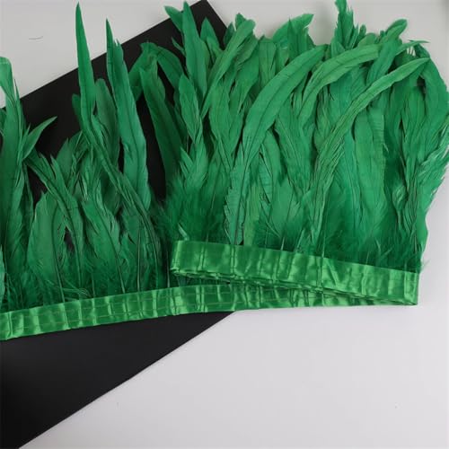 10 m Hahnschwanz-Federn, 25–30 cm, Coque-Federn, Besatz für Handwerk, Karneval, Kleid, Rock, Kostüme, Federn, Glas, EN8, 10 m 10 m Hahnschwanz-Federn, 25–30 cm, Coque-Federn, Besatz für Handwerk, Karneval, Kleid, Rock, Kostüme, Federn, Glas, EN8, 10 m von REHJJDFD
