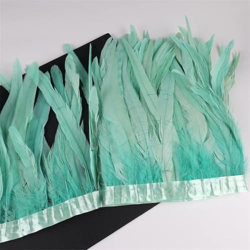 10 m Hahnschwanz-Federn, 25–30 cm, Coque-Federn, Besatz für Handwerk, Karneval, Kleid, Rock, Kostüme, Federn, Minze, En8, 10 m 10 m Hahnschwanz-Federn, 25–30 cm, Coque-Federn, Besatz für Handwerk, Karneval, Kleid, Rock, Kostüme, Federn, Minze, En8, 10 m von REHJJDFD