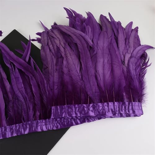 10 m Hahnschwanz-Federn, 25–30 cm, Coque-Federn, Besatz für Handwerk, Karneval, Kleid, Rock, Kostüme, Lila, 10 m von REHJJDFD