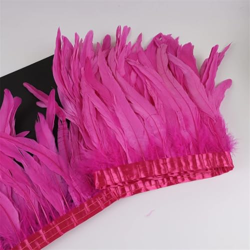 10 m Hahnschwanz-Federn, 25–30 cm, Coque-Federn, Besatz für Handwerk, Karneval, Kleid, Rock, Kostüme, Pflaumen, Pfirsich, 10 m 10 m Hahnschwanz-Federn, 25–30 cm, Coque-Federn, Besatz für Handwerk, Karneval, Kleid, Rock, Kostüme, Pflaumen, Pfirsich, 10 m von REHJJDFD