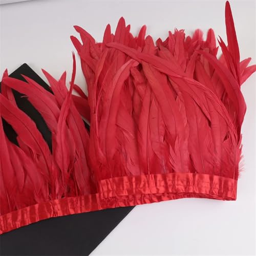 10 m Hahnschwanz-Federn, 25–30 cm, Coque-Federn, Besatz für Handwerk, Karneval, Kleid, Rock, Kostüme, Rot, 10 m von REHJJDFD