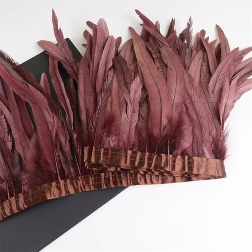 10 m Hahnschwanzfedern, 25–30 cm, Coque-Federn, Besatz für Handwerk, Karneval, Kleid, Rock, Kostüme, Feder, Kaffee, 10 m von REHJJDFD