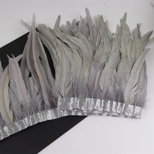 10 m Hahnschwanzfedern, 25–30 cm, Coque-Federn, Besatz für Handwerk, Karneval, Kleid, Rock, Kostüme, Federn, Grau, 9, 10 m 10 m Hahnschwanzfedern, 25–30 cm, Coque-Federn, Besatz für Handwerk, Karneval, Kleid, Rock, Kostüme, Federn, Grau, 9, 10 m von REHJJDFD