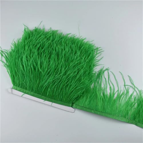 100 cm farbige Straußenfeder-Bordüre, Fransen, DIY-Kostüm-Zubehör für Tanzkleidung, Kopfschmuck, CTN01, 1 m 100 cm farbige Straußenfeder-Bordüre, Fransen, DIY-Kostüm-Zubehör für Tanzkleidung, Kopfschmuck, CTN01, 1 m von REHJJDFD