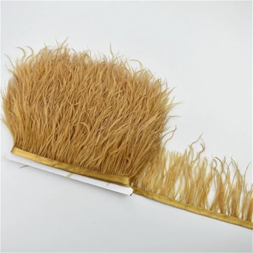 100 cm farbige Straußenfeder-Bordüre, Fransen, DIY-Kostüm-Zubehör für Tanzkleidung, Kopfschmuck, CTN02, 1 m 100 cm farbige Straußenfeder-Bordüre, Fransen, DIY-Kostüm-Zubehör für Tanzkleidung, Kopfschmuck, CTN02, 1 m von REHJJDFD