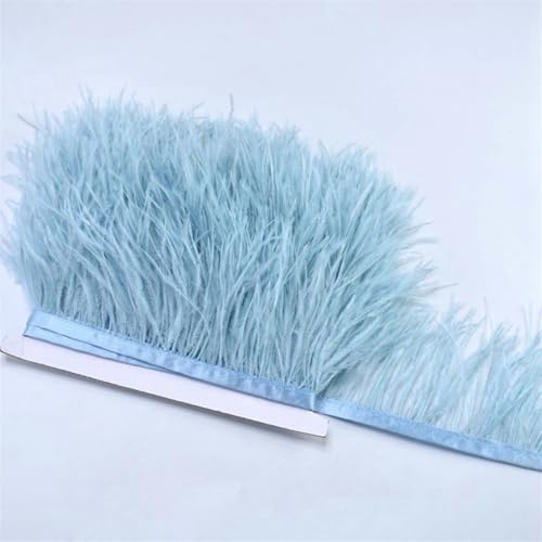 100 cm farbige Straußenfeder-Bordüre, Fransen, DIY-Kostüm-Zubehör für Tanzkleidung, Kopfschmuck, CTN08, 1 m 100 cm farbige Straußenfeder-Bordüre, Fransen, DIY-Kostüm-Zubehör für Tanzkleidung, Kopfschmuck, CTN08, 1 m von REHJJDFD