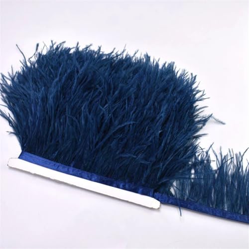 100 cm farbige Straußenfeder-Bordüre, Fransen, DIY-Kostüm-Zubehör für Tanzkleidung, Kopfschmuck, CTN10, 1 m 100 cm farbige Straußenfeder-Bordüre, Fransen, DIY-Kostüm-Zubehör für Tanzkleidung, Kopfschmuck, CTN10, 1 m von REHJJDFD