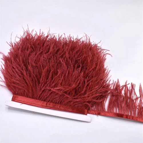 100 cm farbige Straußenfeder-Bordüre, Fransen, DIY-Kostüm-Zubehör für Tanzkleidung, Kopfschmuck, CTN11, 1 m 100 cm farbige Straußenfeder-Bordüre, Fransen, DIY-Kostüm-Zubehör für Tanzkleidung, Kopfschmuck, CTN11, 1 m von REHJJDFD