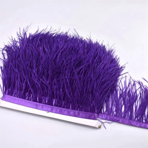 100 cm farbige Straußenfeder-Bordüre, Fransen, DIY-Kostüm-Zubehör für Tanzkleidung, Kopfschmuck, CTN13, 1 m 100 cm farbige Straußenfeder-Bordüre, Fransen, DIY-Kostüm-Zubehör für Tanzkleidung, Kopfschmuck, CTN13, 1 m von REHJJDFD