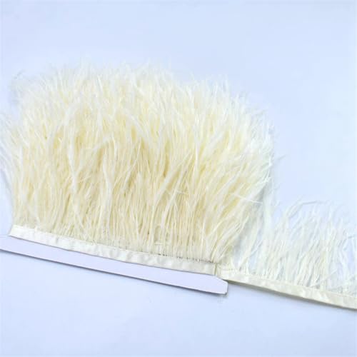 100 cm farbige Straußenfeder-Bordüre, Fransen, DIY-Kostüm-Zubehör für Tanzkleidung, Kopfschmuck, CTN14, 1 m 100 cm farbige Straußenfeder-Bordüre, Fransen, DIY-Kostüm-Zubehör für Tanzkleidung, Kopfschmuck, CTN14, 1 m von REHJJDFD