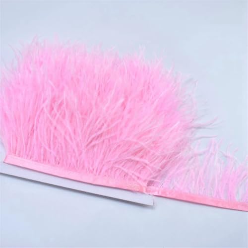 100 cm farbige Straußenfeder-Bordüre, Fransen, DIY-Kostüm-Zubehör für Tanzkleidung, Kopfschmuck, CTN15, 1 m 100 cm farbige Straußenfeder-Bordüre, Fransen, DIY-Kostüm-Zubehör für Tanzkleidung, Kopfschmuck, CTN15, 1 m von REHJJDFD