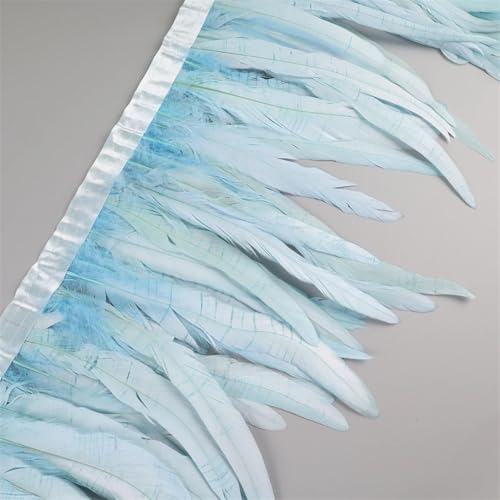 25–30 cm Hahnfeder-Besatz, Hühnerfeder-Borte, Band, Kleid, Rock, Kostüm, Karneval, Dekoration, Hellblau, 2 Meter 25–30 cm Hahnfeder-Besatz, Hühnerfeder-Borte, Band, Kleid, Rock, Kostüm, Karneval, Dekoration, Hellblau, 2 Meter von REHJJDFD