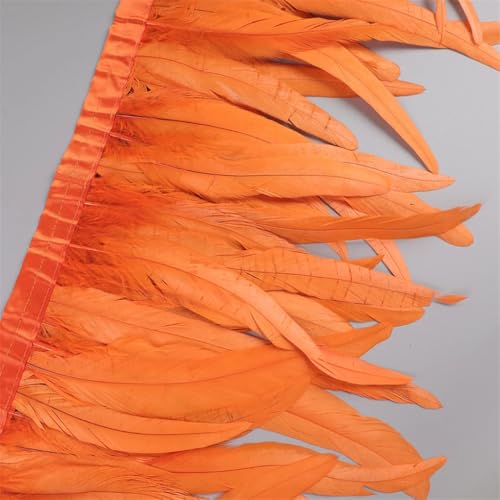 25–30 cm Hahnfeder-Besatz, Hühnerfeder-Borte, Band, Kleid, Rock, Kostüm, Karneval, Dekoration, Orange, 2 Meter 25–30 cm Hahnfeder-Besatz, Hühnerfeder-Borte, Band, Kleid, Rock, Kostüm, Karneval, Dekoration, Orange, 2 Meter von REHJJDFD