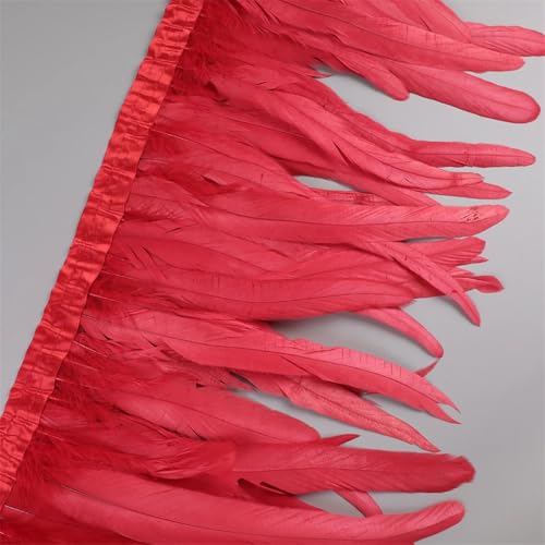 25–30 cm Hahnfeder-Besatz, Hühnerfeder-Borte, Band, Kleid, Rock, Kostüm, Karneval, Dekoration, rot, 9,1 m 25–30 cm Hahnfeder-Besatz, Hühnerfeder-Borte, Band, Kleid, Rock, Kostüm, Karneval, Dekoration, rot, 9,1 m von REHJJDFD