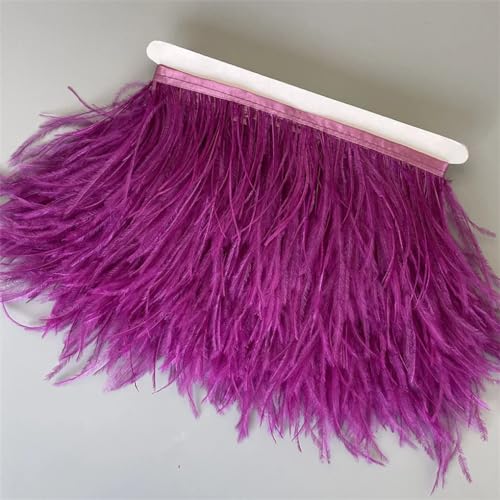 Band mit Straußenfedern, 6 m, 13–18 cm, für Kleid, Kleidung, Dekoration, Nähen, Federn, Basteln, Lila, 6 m Band mit Straußenfedern, 6 m, 13–18 cm, für Kleid, Kleidung, Dekoration, Nähen, Federn, Basteln, Lila, 6 m von REHJJDFD