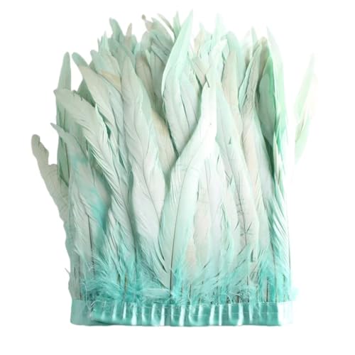 Federborte, 25–30 cm, Hahnfederbesatz, Kleid, Kostüm, Dekoration, Minze, En8, 2 m Federborte, 25–30 cm, Hahnfederbesatz, Kleid, Kostüm, Dekoration, Minze, En8, 2 m von REHJJDFD
