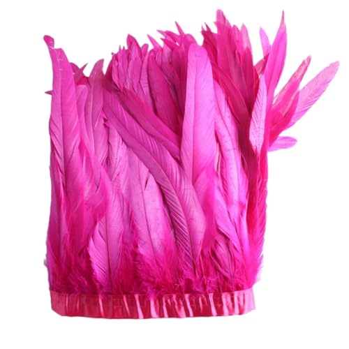 Federborte, 25–30 cm, Hahnfederbesatz, Kleid, Kostüm, Dekoration, Rose, 2 m von REHJJDFD