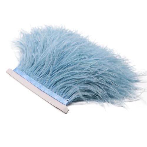 Flauschige Straußenfeder-Bordüre, Fransen, 8–10 cm, Hochzeitsdekoration, Federband für Kleid, 1 m, Hellblau, 1 m Flauschige Straußenfeder-Bordüre, Fransen, 8–10 cm, Hochzeitsdekoration, Federband für Kleid, 1 m, Hellblau, 1 m von REHJJDFD