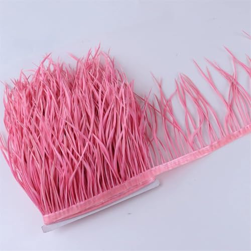 Gänsefeder-Bordüre für Kleidung, Kleid, Dekoration, Bastelzubehör, 10–15 cm, 1 m Gänsefeder-Bordüre für Kleidung, Kleid, Dekoration, Bastelzubehör, 10–15 cm, 1 m von REHJJDFD