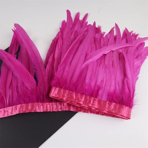 Hahnschwanzfeder-Bordüre, 25–30 cm, Coque-Federn, zum Basteln, Karneval, Kleid, Rock, Kostüme, Federn, Fuchsia, 10 m Hahnschwanzfeder-Bordüre, 25–30 cm, Coque-Federn, zum Basteln, Karneval, Kleid, Rock, Kostüme, Federn, Fuchsia, 10 m von REHJJDFD