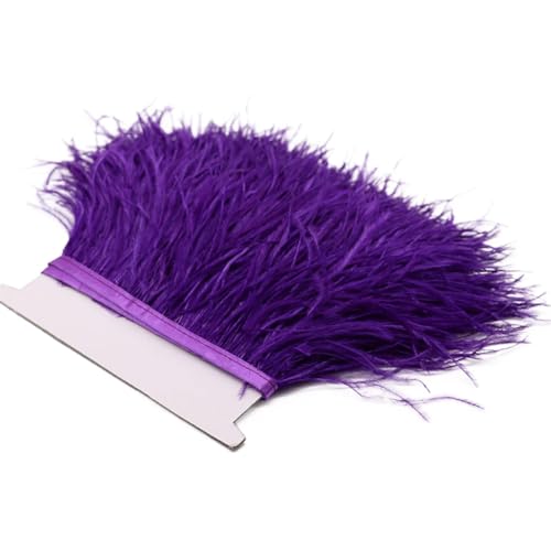 Spitzenband mit Straußenfedern, lange Borten für Kleidung, Nähzubehör, 1 m, 8–10 cm, Dunkelviolett, 8–10 cm von REHJJDFD