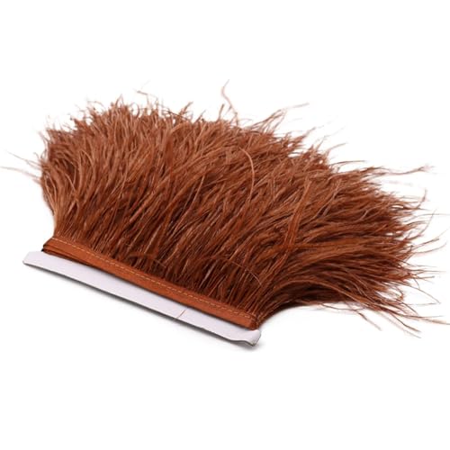 Spitzenband mit Straußenfedern, lange Borten für Kleidung, Nähzubehör, 1 m, 8–10 cm, Rot, Kaffee, 8–10 cm von REHJJDFD