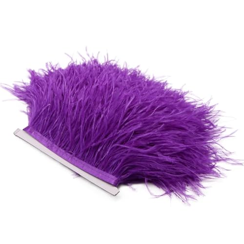 Spitzenband mit Straußenfedern, lange Borten für Kleidung, Nähzubehör, 1 m, 8–10 cm, Rot, Lila, 8–10 cm von REHJJDFD