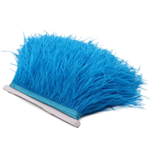 Spitzenband mit Straußenfedern, lange Borten für Kleidung, Nähzubehör, 1 m, 8–10 cm, Seeblau, 8–10 cm von REHJJDFD