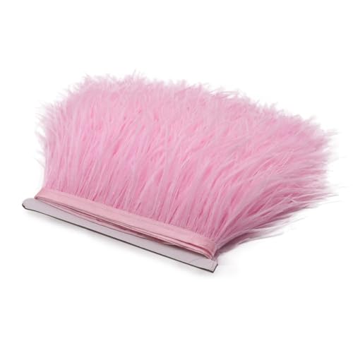 Spitzenband mit Straußenfedern, lange Borten für Kleidung, Nähzubehör, 1 m, 8–10 cm, leicht, 8–10 cm von REHJJDFD