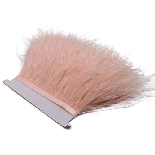 Spitzenband mit Straußenfedern, lange Borten für Kleidung, Nähzubehör, Champagner, 8 - 10 cm, 1 m, 8 - 10 cm von REHJJDFD