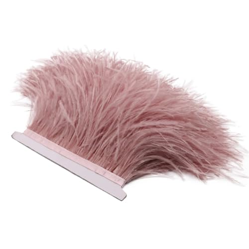 Spitzenband mit Straußenfedern, lange Borten für Kleidung, Nähzubehör, Leder, 1 m, 8–10 cm, 8–10 cm von REHJJDFD