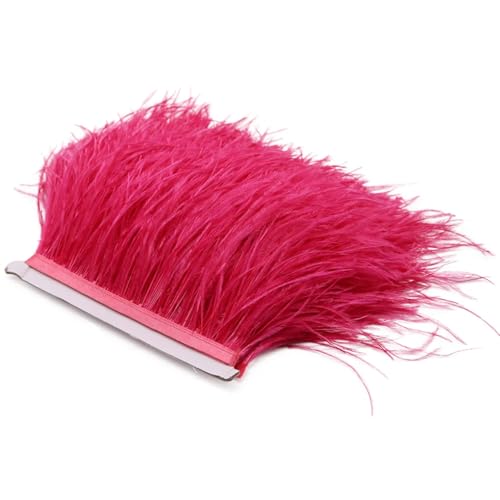 Spitzenband mit Straußenfedern, lange Borten für Kleidung, Nähzubehör, Wassermelonenrot, 1 m, 8–10 cm von REHJJDFD
