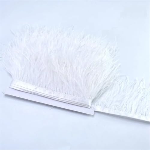 Straußen-Bordüre, 1 m, 8–10 cm, Federband, für Hochzeit, Basteln, Basteln, Nähen, Party-Dekoration, Weiß, 1 Stück Straußen-Bordüre, 1 m, 8–10 cm, Federband, für Hochzeit, Basteln, Basteln, Nähen, Party-Dekoration, Weiß, 1 Stück von REHJJDFD