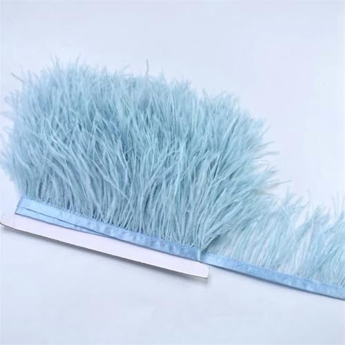 Straußen-Bordüre, Federn, 1 m, 8–10 cm, für Hochzeit, Basteln, Basteln, Basteln, Nähen, Party-Dekoration, Hellblau, 1 Stück Straußen-Bordüre, Federn, 1 m, 8–10 cm, für Hochzeit, Basteln, Basteln, Basteln, Nähen, Party-Dekoration, Hellblau, 1 Stück von REHJJDFD