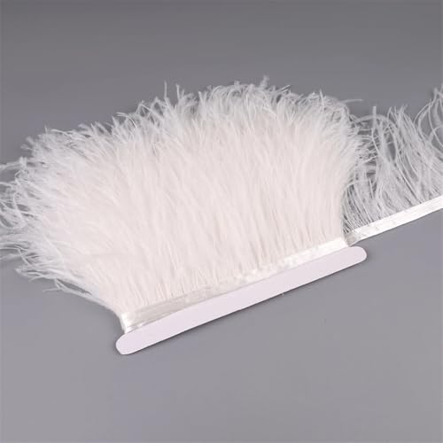 Straußenfeder-Band, Fransenborte zum Nähen, Besätze, Feder in Kleid, Kleidung, Kostüm, Weiß, 5 m, 10–15 cm Straußenfeder-Band, Fransenborte zum Nähen, Besätze, Feder in Kleid, Kleidung, Kostüm, Weiß, 5 m, 10–15 cm von REHJJDFD