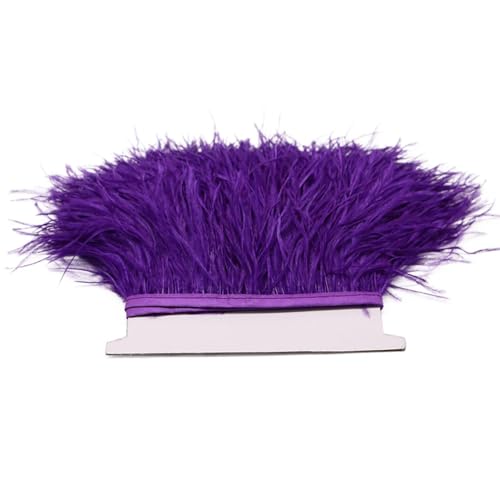 Straußenfeder-Band, mehrfarbig, zum Nähen, Federn, Basteln, Kleidung, Dekoration, 1 m, 5 m, 10 m, 8–10 cm, Violett, 1 m Straußenfeder-Band, mehrfarbig, zum Nähen, Federn, Basteln, Kleidung, Dekoration, 1 m, 5 m, 10 m, 8–10 cm, Violett, 1 m von REHJJDFD