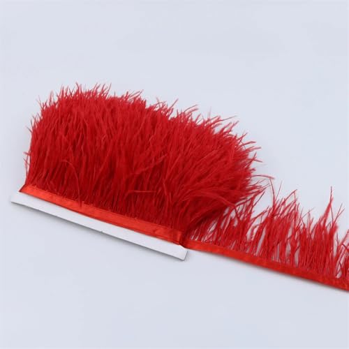 Straußenfeder-Band, mehrfarbig, zum Nähen, Federn, Basteln, Kleidung, Dekoration, Rot, 10 m, 1 m, 5 m, 10 m, 10 m Straußenfeder-Band, mehrfarbig, zum Nähen, Federn, Basteln, Kleidung, Dekoration, Rot, 10 m, 1 m, 5 m, 10 m, 10 m von REHJJDFD