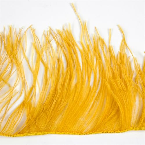 Straußenfeder-Bordüre, 1 m, 10–15/15–18/18–22 cm, Federn, Fransenband für Partykleid, Zuhause, Nähen, Hochzeit, Bordüren, Gold, 10–15 cm, 2-lagig Straußenfeder-Bordüre, 1 m, 10–15/15–18/18–22 cm, Federn, Fransenband für Partykleid, Zuhause, Nähen, Hochzeit, Bordüren, Gold, 10–15 cm, 2-lagig von REHJJDFD