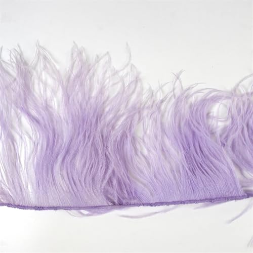 Straußenfeder-Bordüre, 1 m, 10–15/15–18/18–22 cm, Federn, Fransenband für Partykleid, Zuhause, Nähen, Hochzeit, Bordüren, Hellviolett, 10–15 cm, 2-lagig Straußenfeder-Bordüre, 1 m, 10–15/15–18/18–22 cm, Federn, Fransenband für Partykleid, Zuhause, Nähen, Hochzeit, Bordüren, Hellviolett, 10–15 cm, 2-lagig von REHJJDFD