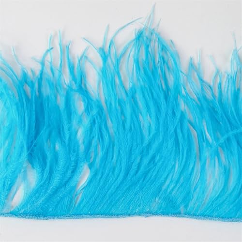 Straußenfeder-Bordüre, 1 m, 10-15/15-18/18-22 cm, Federn, Fransenband für Partykleid, Zuhause, Nähen, Hochzeit, Bordüren, Himmelblau, 1-lagig, 10-15 cm Straußenfeder-Bordüre, 1 m, 10-15/15-18/18-22 cm, Federn, Fransenband für Partykleid, Zuhause, Nähen, Hochzeit, Bordüren, Himmelblau, 1-lagig, 10-15 cm von REHJJDFD