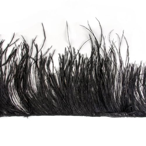 Straußenfeder-Bordüre, 1 m, 10–15/15–18/18–22 cm, Fransenband für Partykleid, Zuhause, Nähen, Hochzeit, Bordüren, Schwarz, 10–15 cm, 2-lagig Straußenfeder-Bordüre, 1 m, 10–15/15–18/18–22 cm, Fransenband für Partykleid, Zuhause, Nähen, Hochzeit, Bordüren, Schwarz, 10–15 cm, 2-lagig von REHJJDFD