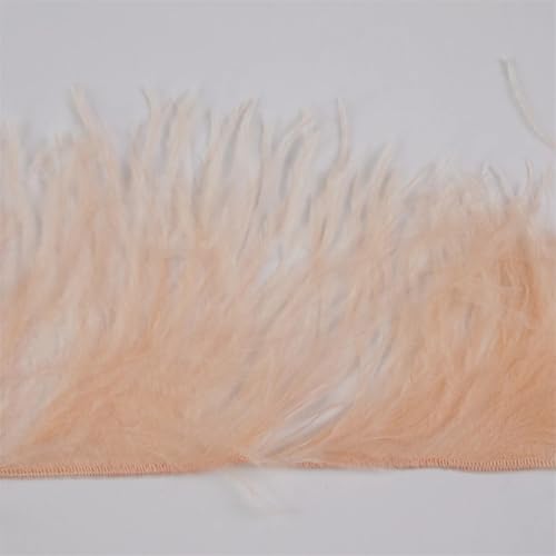 Straußenfeder-Bordüre, 1 m, 10-15/15-18/18-22 cm, für Partykleid, Zuhause, Nähen, Hochzeit, Bordüren, Champagner, 1-lagig, 10-15 cm, 10-15 cm Straußenfeder-Bordüre, 1 m, 10-15/15-18/18-22 cm, für Partykleid, Zuhause, Nähen, Hochzeit, Bordüren, Champagner, 1-lagig, 10-15 cm, 10-15 cm von REHJJDFD