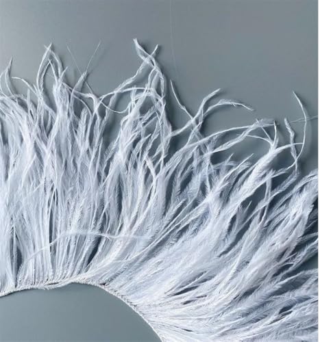 Straußenfeder-Bordüre, 1 m, 10-15/15-18/18-22 cm, für Partykleid, Zuhause, Nähen, Hochzeit, Bordüren, Weiß, 1-lagig, 10-15 cm, 10-15 cm Straußenfeder-Bordüre, 1 m, 10-15/15-18/18-22 cm, für Partykleid, Zuhause, Nähen, Hochzeit, Bordüren, Weiß, 1-lagig, 10-15 cm, 10-15 cm von REHJJDFD
