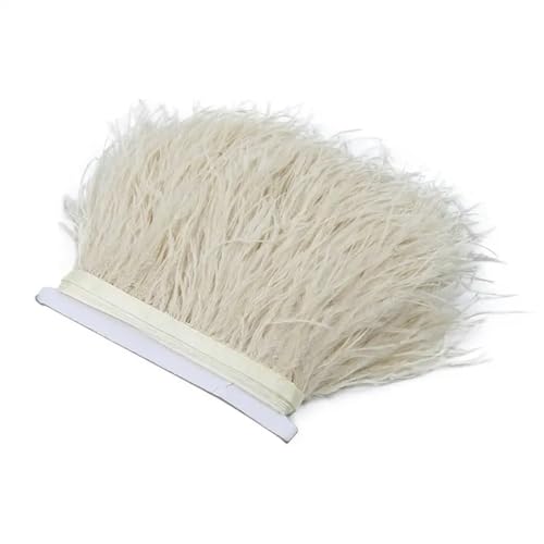 Straußenfeder-Bordüre, 8 - 10 cm, für Bastelarbeiten, Kleidung, Accessoires, Party, Hochzeitskleid, Schmuckband, Pflaumen, Dekoration, Orange, 8–10 cm, 1 m Straußenfeder-Bordüre, 8 - 10 cm, für Bastelarbeiten, Kleidung, Accessoires, Party, Hochzeitskleid, Schmuckband, Pflaumen, Dekoration, Orange, 8–10 cm, 1 m von REHJJDFD