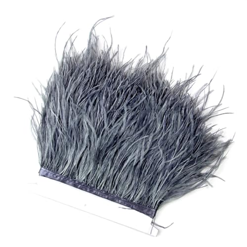 Straußenfeder-Bordüre, 8–10 cm, weiche dekorative Federn für DIY-Kostüme, Hochzeitsparty, Kleid, Grau, 10 m von REHJJDFD