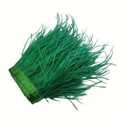 Straußenfeder-Bordüre, Bastelarbeiten, Bastelarbeiten, Schmuckherstellung, Hochzeit, Party, Weihnachtsdekoration, 8–10 cm, Gras, EN8, 1 m Straußenfeder-Bordüre, Bastelarbeiten, Bastelarbeiten, Schmuckherstellung, Hochzeit, Party, Weihnachtsdekoration, 8–10 cm, Gras, EN8, 1 m von REHJJDFD