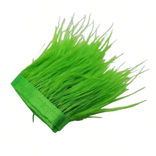 Straußenfeder-Bordüre, Bastelarbeiten, Schmuckherstellung, Hochzeit, Party, Weihnachtsdekoration, 8–10 cm, EN8, 1 m Straußenfeder-Bordüre, Bastelarbeiten, Schmuckherstellung, Hochzeit, Party, Weihnachtsdekoration, 8–10 cm, EN8, 1 m von REHJJDFD