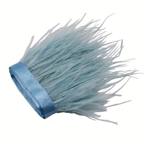 Straußenfeder-Bordüre, Bastelarbeiten, Schmuckherstellung, Hochzeit, Party, Weihnachtsdekoration, 8–10 cm, Hellblau, 10 m Straußenfeder-Bordüre, Bastelarbeiten, Schmuckherstellung, Hochzeit, Party, Weihnachtsdekoration, 8–10 cm, Hellblau, 10 m von REHJJDFD