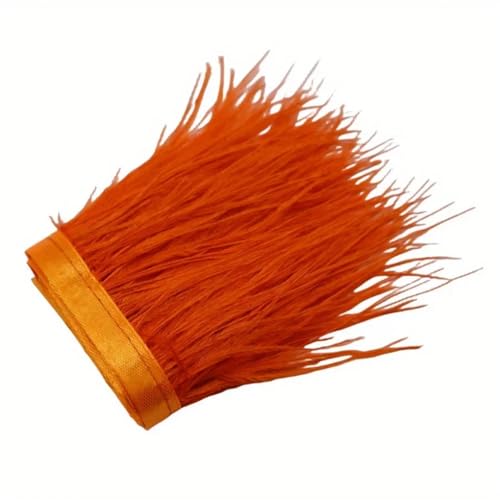 Straußenfeder-Bordüre, Bastelarbeiten, Schmuckherstellung, Hochzeit, Party, Weihnachtsdekoration, 8–10 cm, Orange, 10 m von REHJJDFD